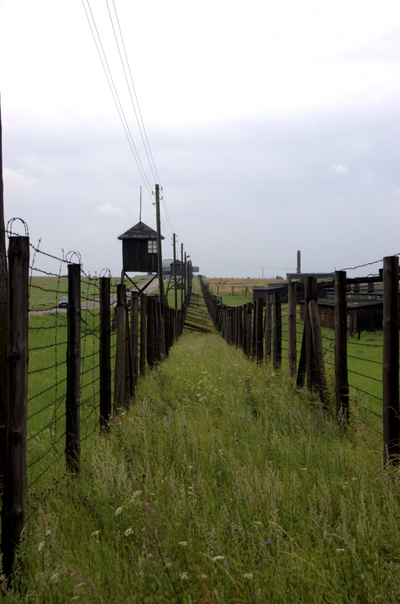 On the Liberation of the Concentration Camps Origins